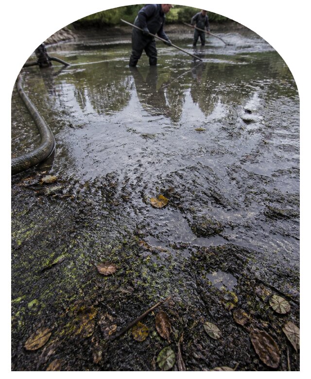 Очистка пруда в Богородицке от ила мусора и водорослей с вывозом